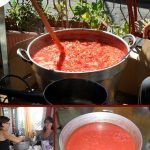 Abbiamo messo l’Estate nel barattolo!!!