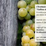 Moscato d’Asti, il Re Dolce, vi aspetta!