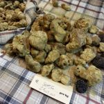 Metti una domenica ad Alba…