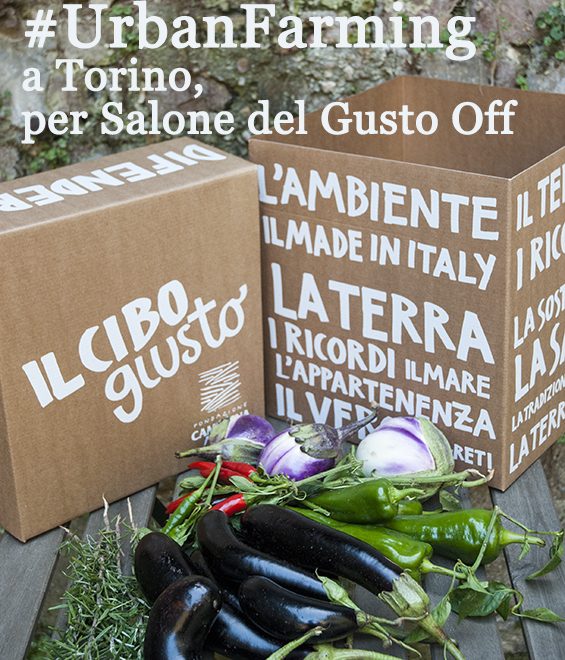 Salone del Gusto Off: scoprire l’Urban Farming a Torino #CoronaVerde e #UrbanFarming per Salone del Gusto