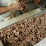 Blogtour #socialfoodewine, la puntata dedicata a Cuneo e ai suoi produttori d’eccellenza, e il territorio cuneese al Salone del Gusto