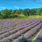 Drôme Provençale, viaggio nel tempo