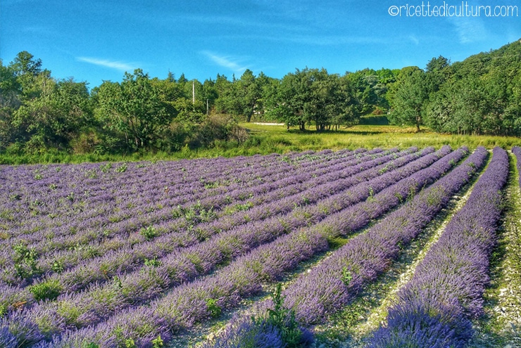 drome-provencale