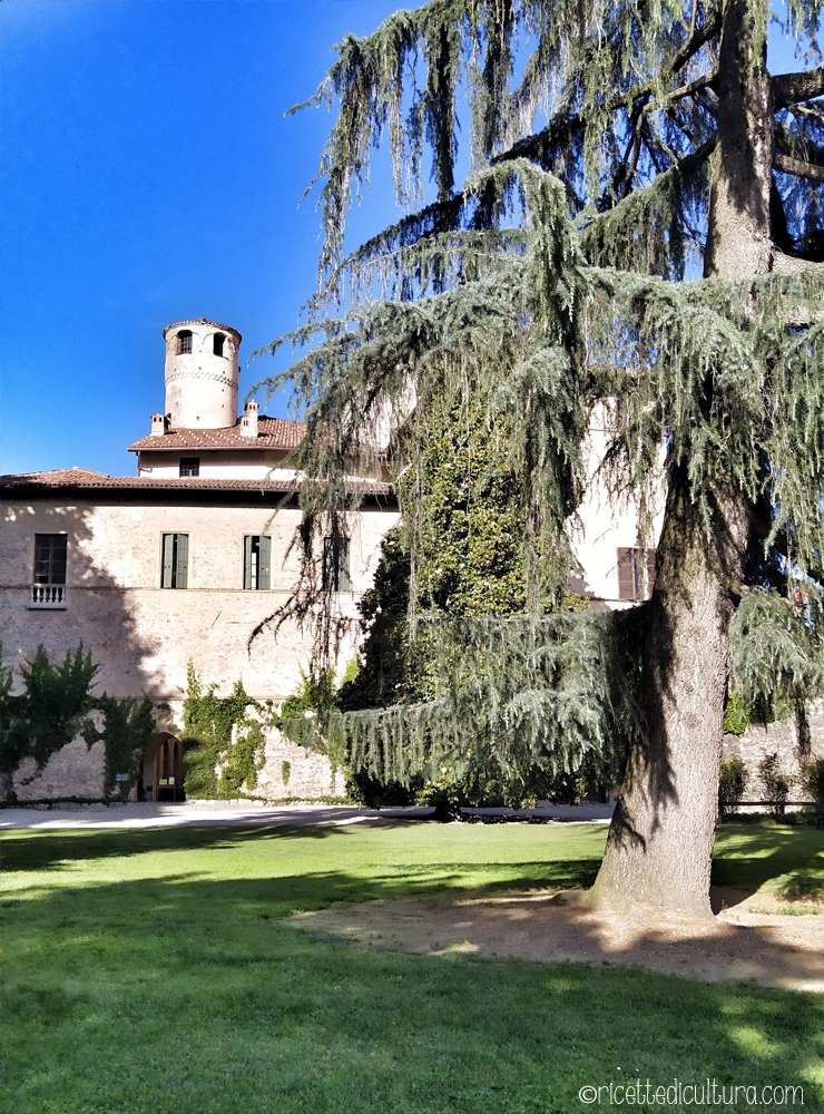 Castello-della-Manta