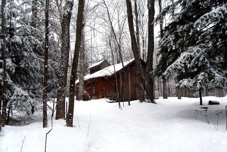 eTA-Canada-cabane